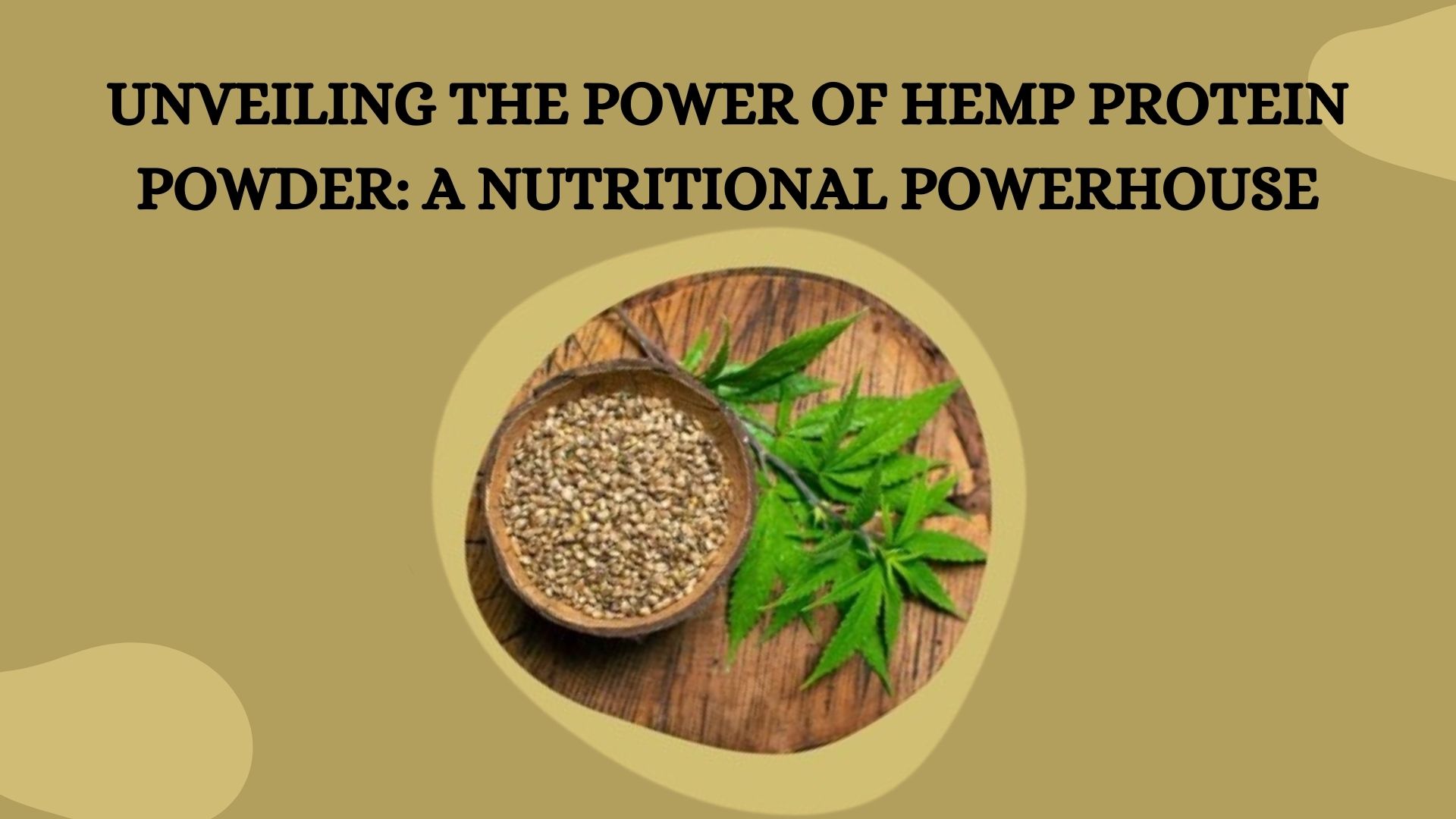 hemp protein